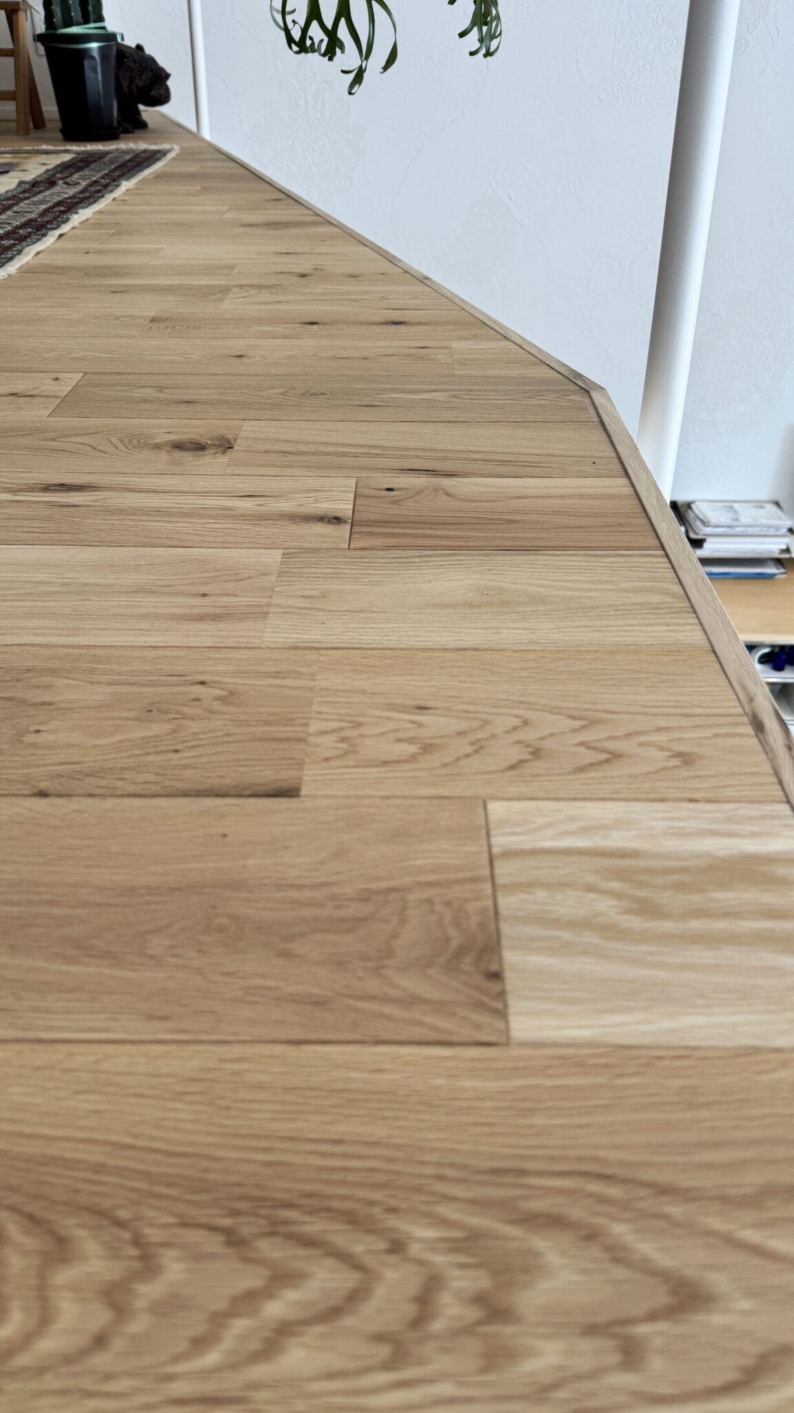 Offece Renovation
