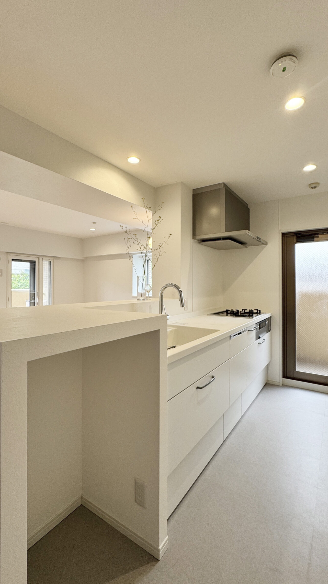 040 Used Mansion Renovation